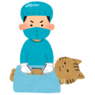 Cirugía veterinaria en Bizoo